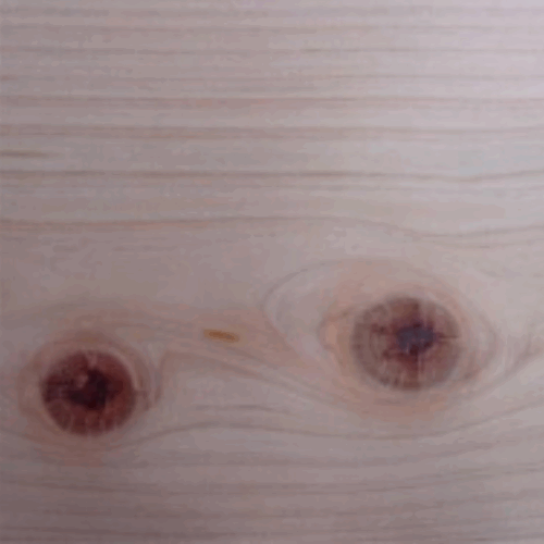 Hinoki